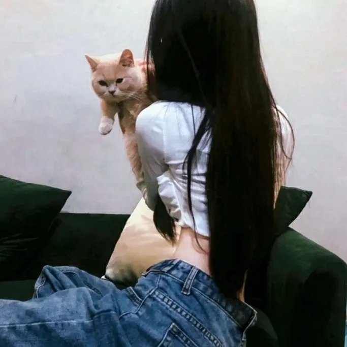 整编特工